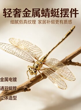 黄铜实心蜻蜓立体摆件！