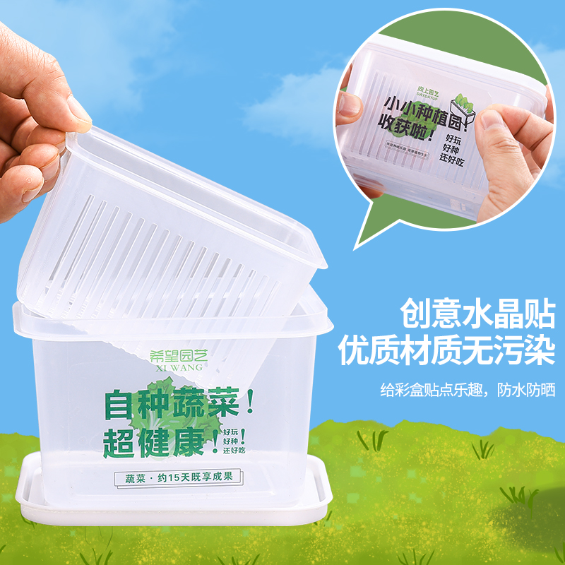 小学生水培植物观察绿豆豌豆种籽儿童种植盆栽花生蚕豆蔬菜花种子 - 图2