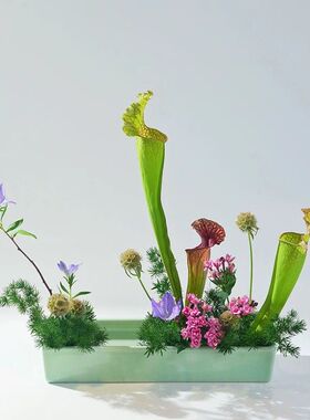 中式日式陶瓷花器 田园风格桌面用陶瓷花盆 排列写景自由花花盘