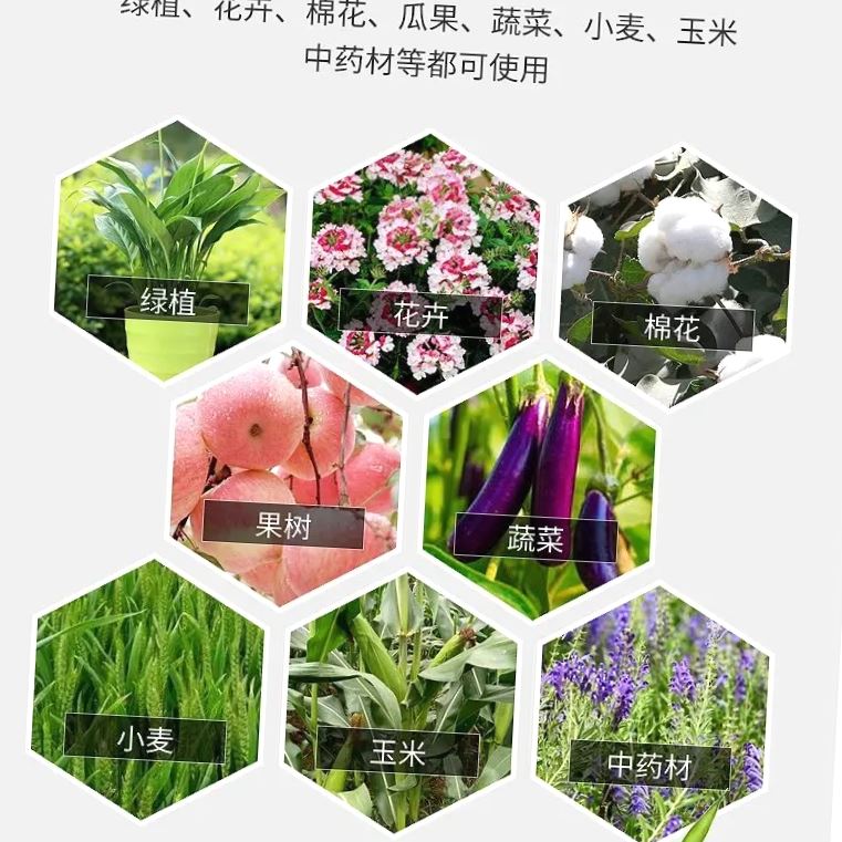 青丛园丁植物补光片，专门解决室内养花光照不足绿植盆栽叶绿素同-图3