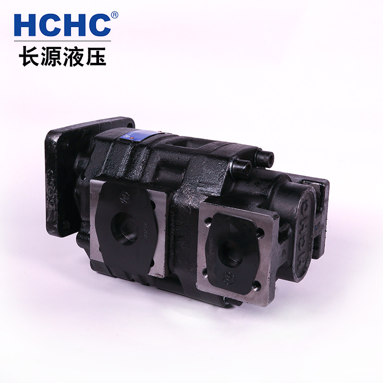 HCHC合肥长源液压泵齿轮油泵CBGNL-40/20-BFHL双联泵 长源齿轮泵 - 图2
