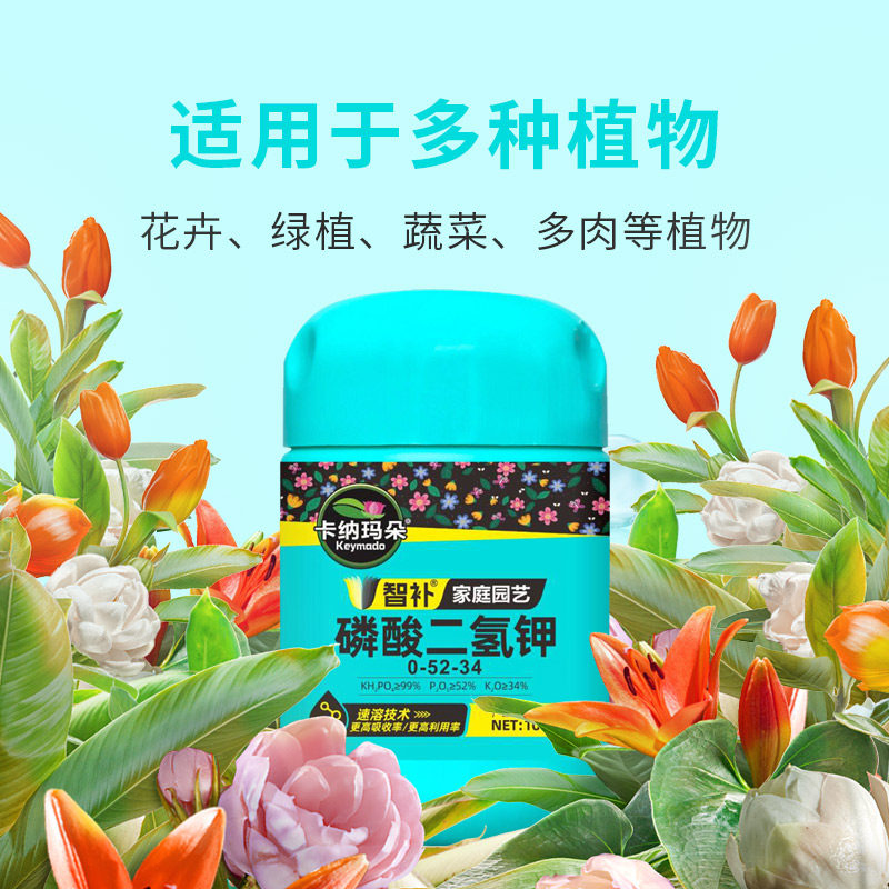 磷酸二氢钾肥料花卉专用促开花水溶肥花肥家用盆栽植物通用叶面肥,淘宝优惠券,粉丝福利购,淘宝优惠卷