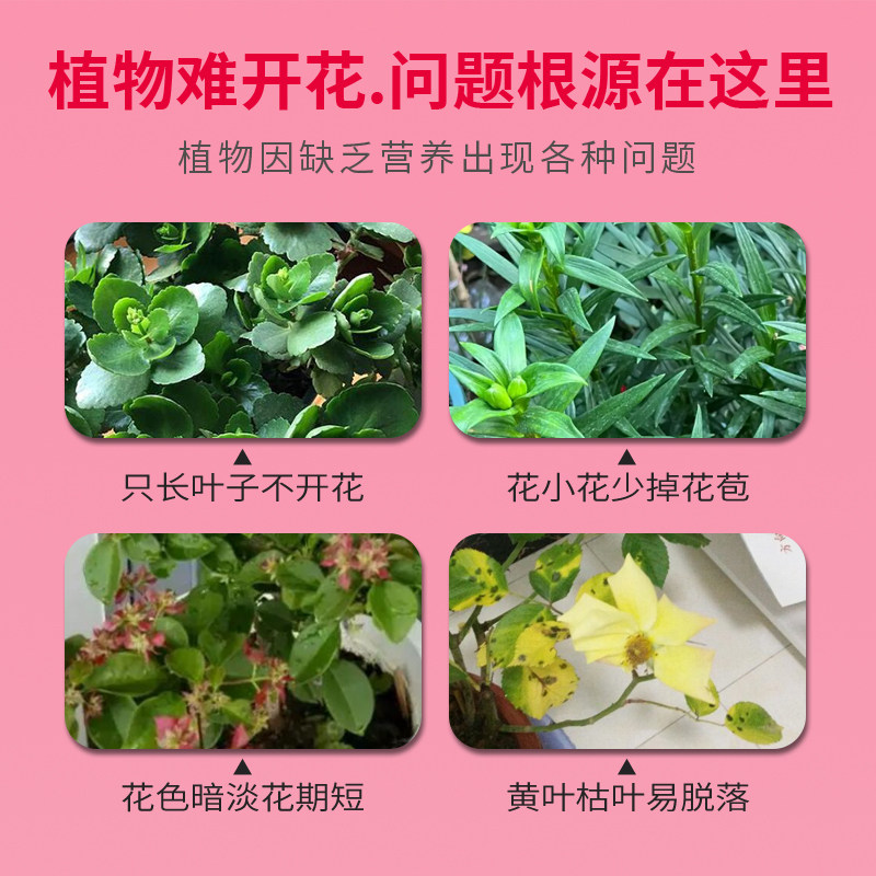 卡纳玛朵花芽爆生素营养液花卉绿植催芽促花水溶肥园艺通用养花肥,淘宝优惠券,粉丝福利购,淘宝优惠卷