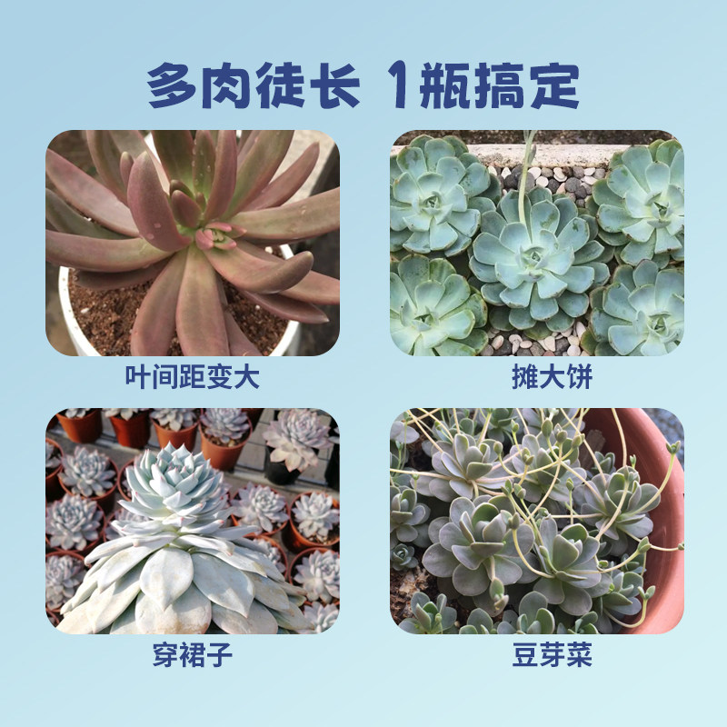 矮胖素多肉植物专用矮壮剂矮壮素太阳花防徒长优芽增色肥料营养液_虎窝淘