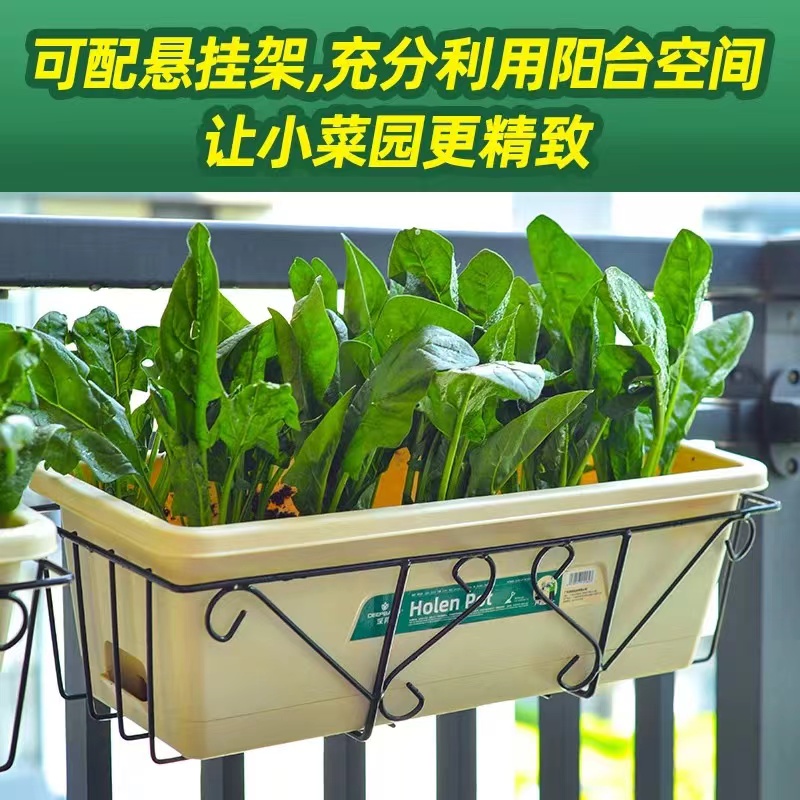 霍伦阳台花盆长条形草莓蔬菜种植盆栽自吸水加大加厚树脂塑料盆