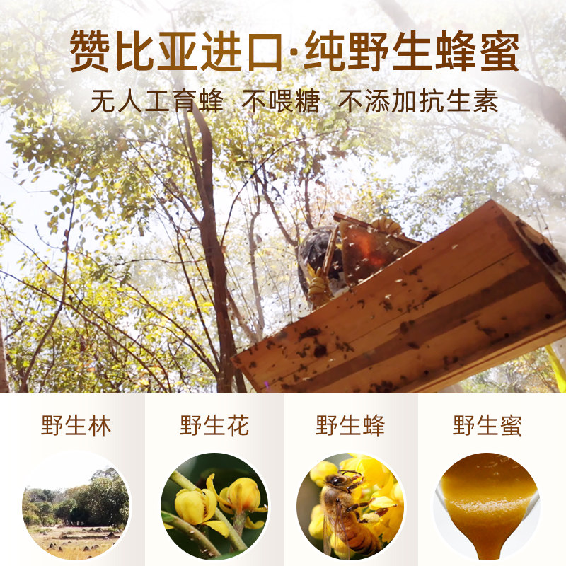非洲赞比亚睦朋得mgo1400+蜂蜜 睦朋得蜂蜜