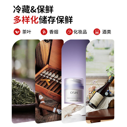 SAST迷你小冰箱冷冻冷藏保鲜家用租房宿舍办公室母乳小型车载冰柜 - 图3