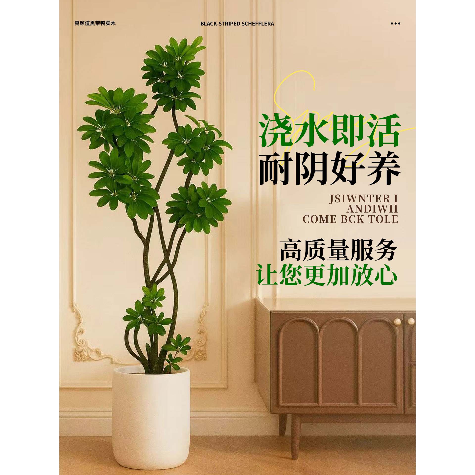 造型鸭脚木客厅绿植高级感室内大型盆栽高端大气上档次落地鸭掌木,淘宝优惠券,粉丝福利购,淘宝优惠卷