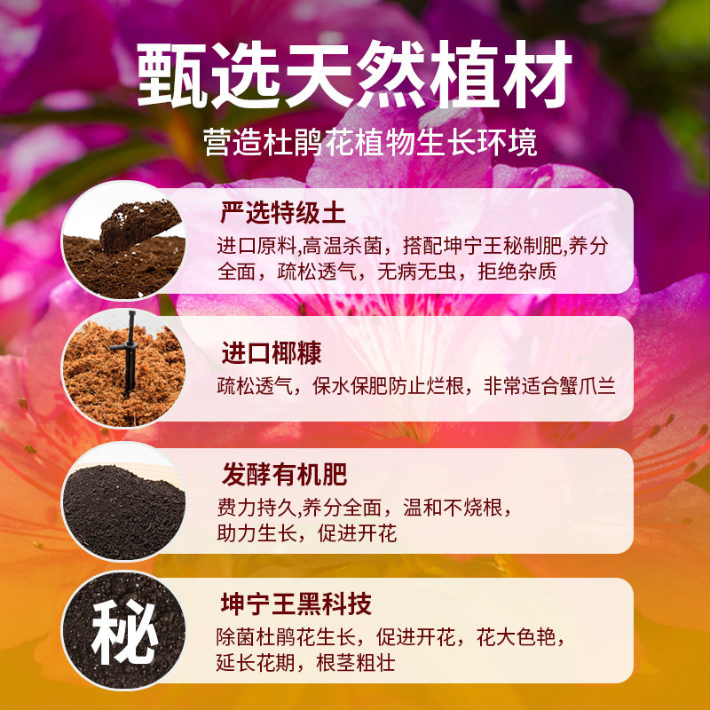 杜鹃花专用土肥料种杜鹃花专用营养土养花专用通用型泥土壤种植土
