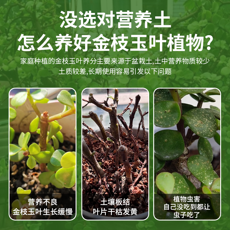 金枝玉叶专用土专用有机肥料营养土通用型盆栽种花养花有机营养土