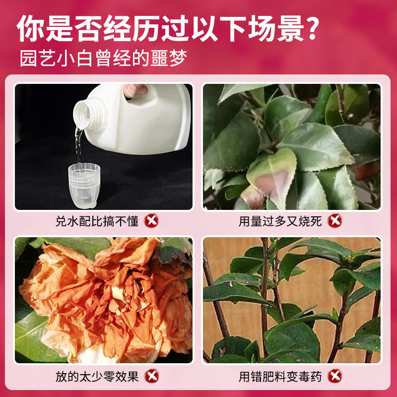 茶花肥料专用肥免稀释营养液山茶花茉莉栀子杜鹃喜酸植物盆栽家用,淘宝优惠券,粉丝福利购,淘宝优惠卷