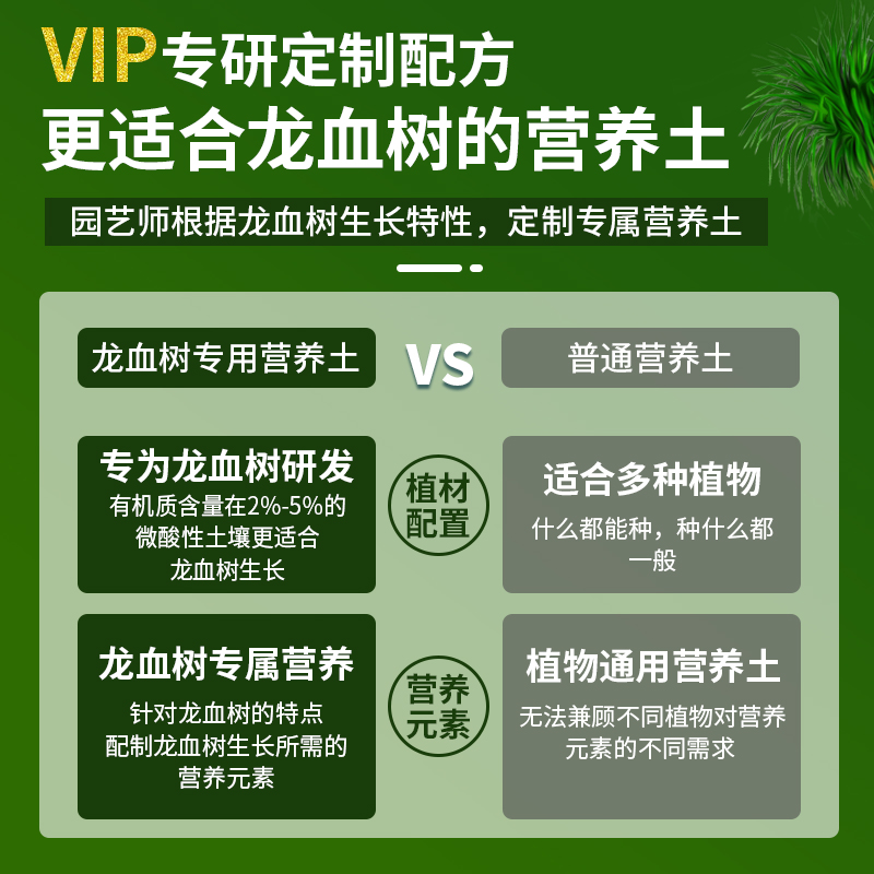 龙血树专用土通用客厅绿植有机土壤龙血树专用肥料土质疏松含菌少 - 图1