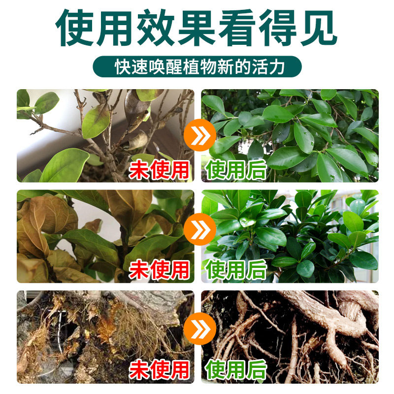 榕树营养液免稀释肥料专用肥黄金榕人参榕小叶榕树盆景通用营养液,淘宝优惠券,粉丝福利购,淘宝优惠卷