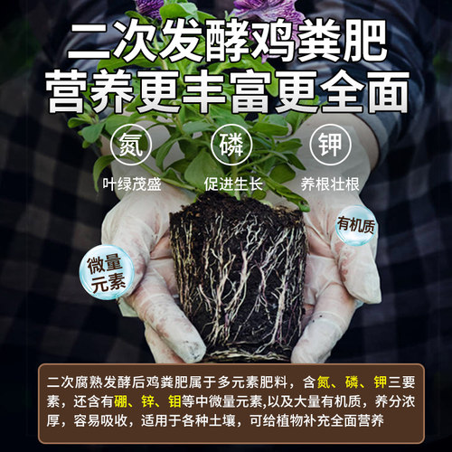 鸡粪发酵有机肥料蔬菜专用鸡屎干农家肥果树纯鸡粪肥花卉种菜肥料 - 图2