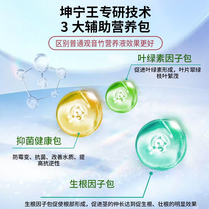 观音竹专用肥料营养液专治枯叶黄叶富贵竹水培植物营养液专用肥料,淘宝优惠券,粉丝福利购,淘宝优惠卷