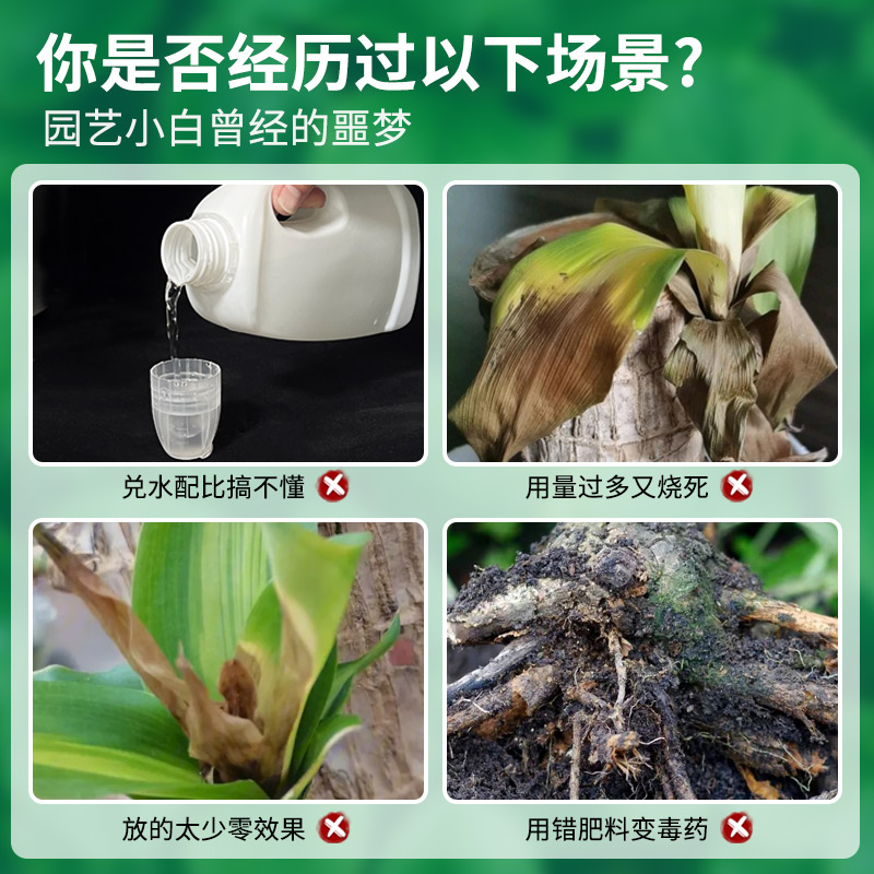 免稀释巴西木专用营养液家用花卉盆栽植物液体肥室内花肥料幸运木 - 图0