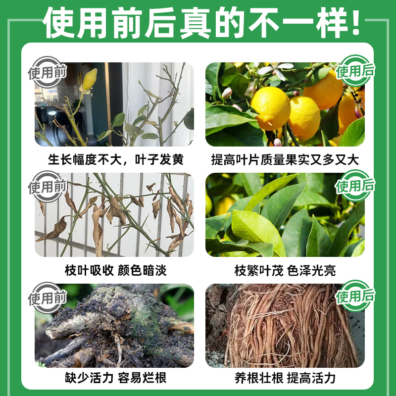 香水柠檬树肥料专用肥营养液青柠檬树盆栽植物果树树苗养花复合肥