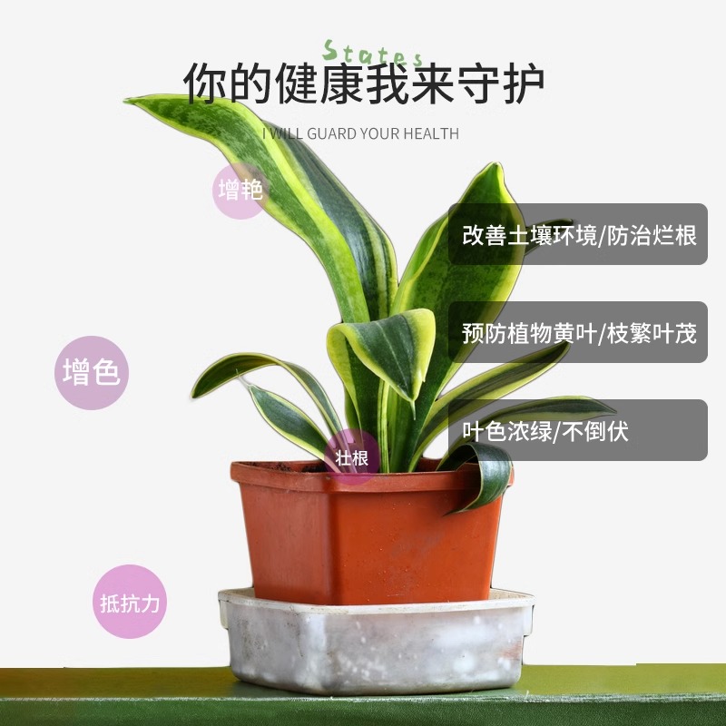 虎皮兰肥料专用肥营养液虎尾兰金边家用盆栽植物通用土水培叶面肥 - 图2