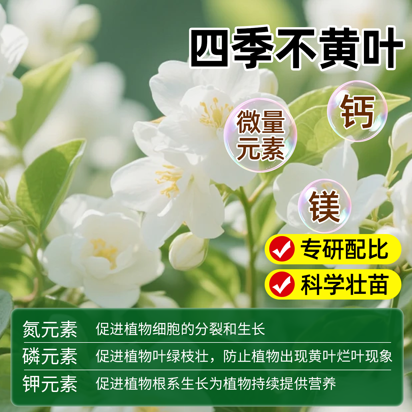 茉莉花专用植物营养液喜酸性植物花卉盆栽专用促开生根延长花期,淘宝优惠券,粉丝福利购,淘宝优惠卷