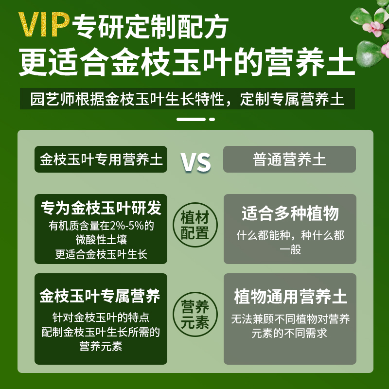 金枝玉叶专用土专用有机肥料营养土通用型盆栽种花养花有机营养土