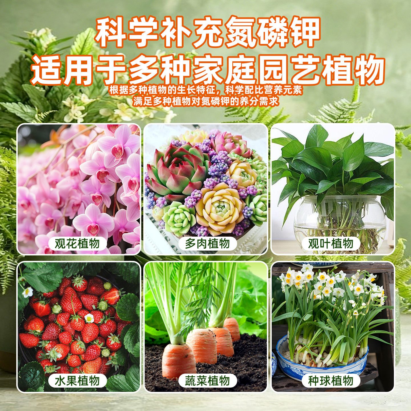 花肥通用养花肥料复合肥蔬菜农用种菜肥料蔬菜用有机肥专用缓释肥,淘宝优惠券,粉丝福利购,淘宝优惠卷