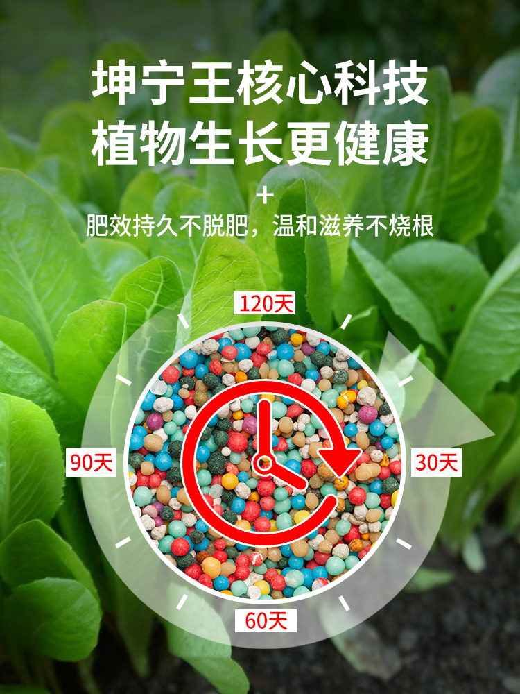 复合肥蔬菜农用种菜专用肥料瓜果树有机颗粒肥氮磷钾家用盆栽化肥 - 图2