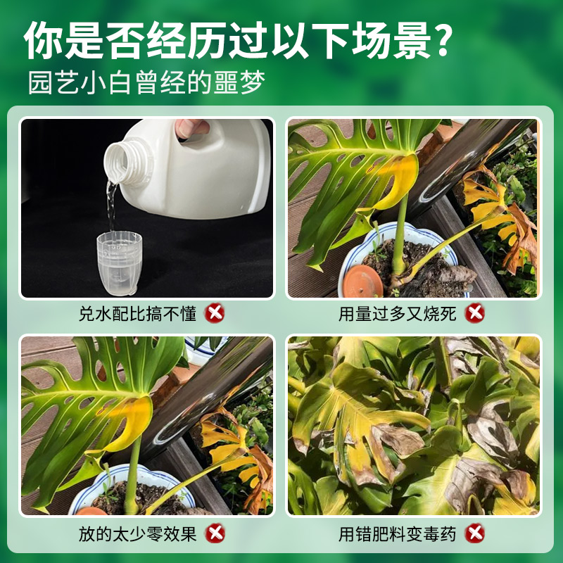 免稀释龟背竹专用营养液专用肥料龟背竹琴叶榕绿植盆栽植物通用 - 图0