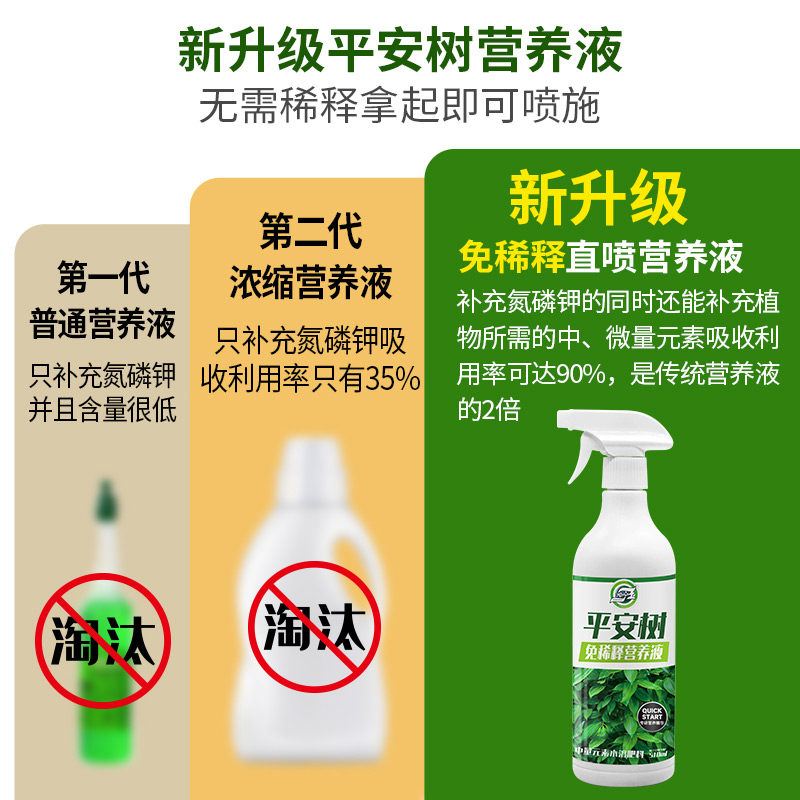平安树专用免稀释营养液肥料防治叶子发黄干尖绿植通用催根促生长,淘宝优惠券,粉丝福利购,淘宝优惠卷
