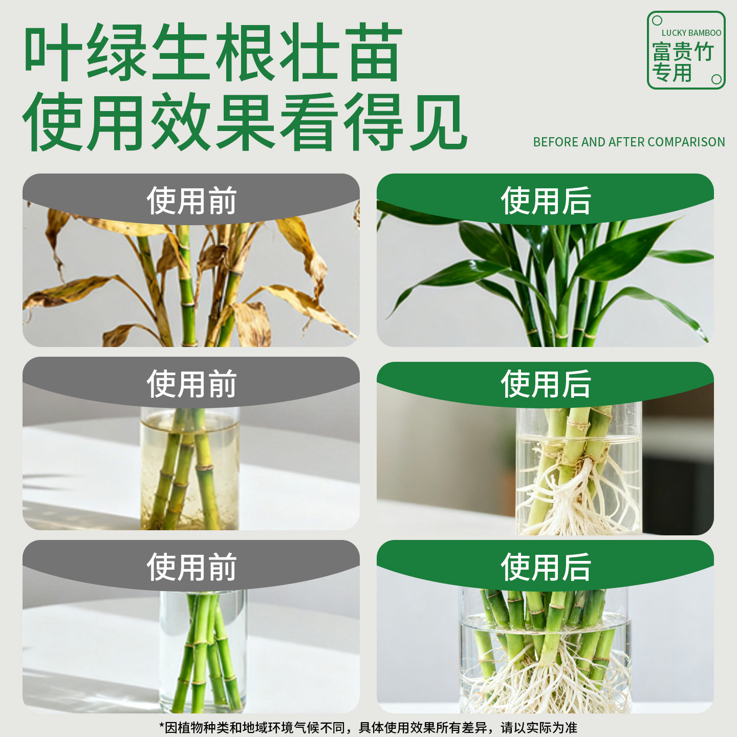 富贵竹水培专用营养液植物通用型盆栽壮根治发黄增亮水培植物肥料,淘宝优惠券,粉丝福利购,淘宝优惠卷