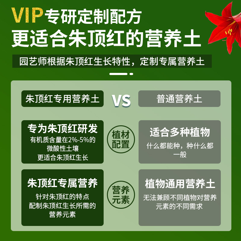 朱顶红专用土球根种球营养土专用肥料花卉养花种植土壤家用有机土