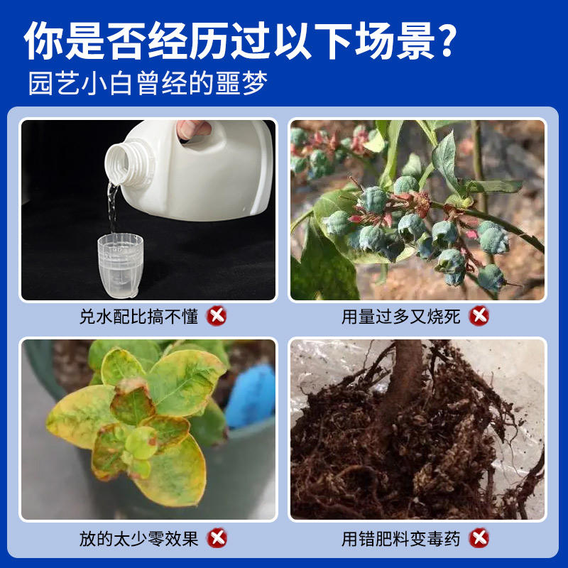 蓝莓专用营养液蓝莓肥料专用肥免稀释营养液家用盆栽有机液体肥料 - 图0