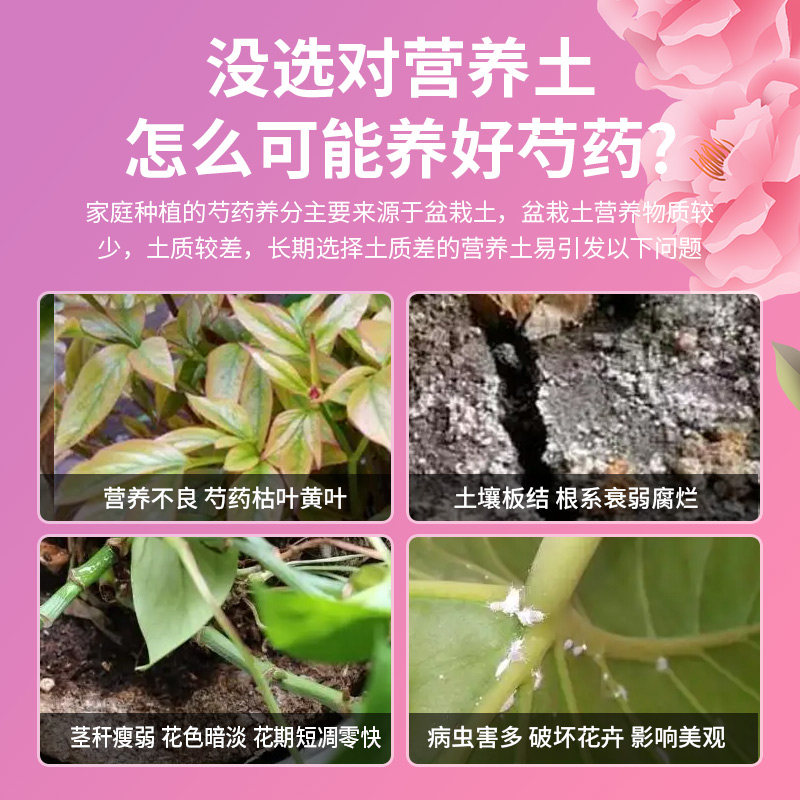 芍药花专用营养土养花通用型花土家用阳台盆栽种植土壤牡丹有机土