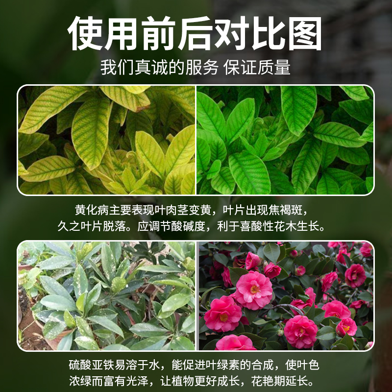 坤宁王硫酸亚铁花肥料水溶肥花卉酸性植物营养液茉莉花栀子花茶花 - 图1