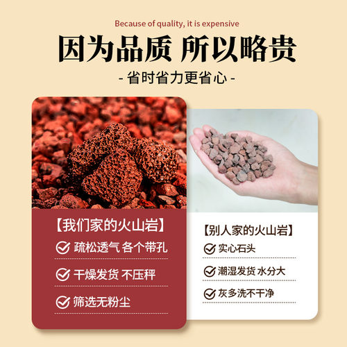 红火山石颗粒火山岩铺底铺面兰花专用土多肉营养土水族鱼缸垫底砂 - 图0