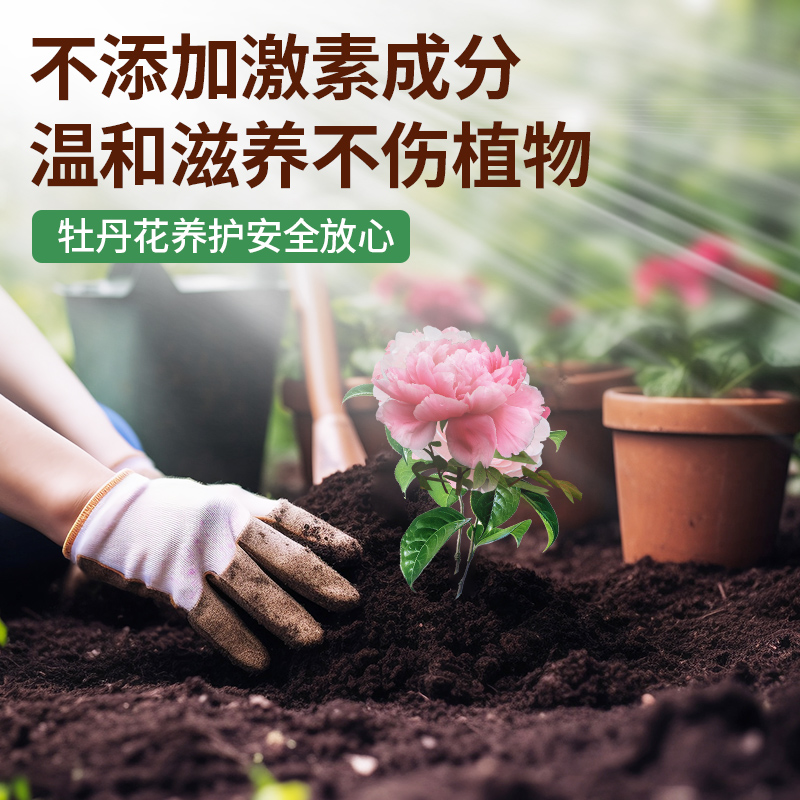 坤宁王牡丹专用肥缓释复合家用型控释颗粒植物盆栽绿植花卉养花肥-图3