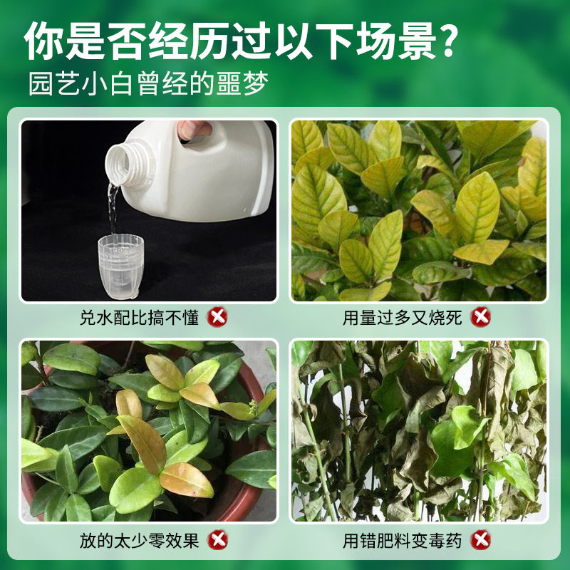 免稀释茉莉花专用营养液家用促开花卉盆栽喜酸植物液体肥花肥料,淘宝优惠券,粉丝福利购,淘宝优惠卷