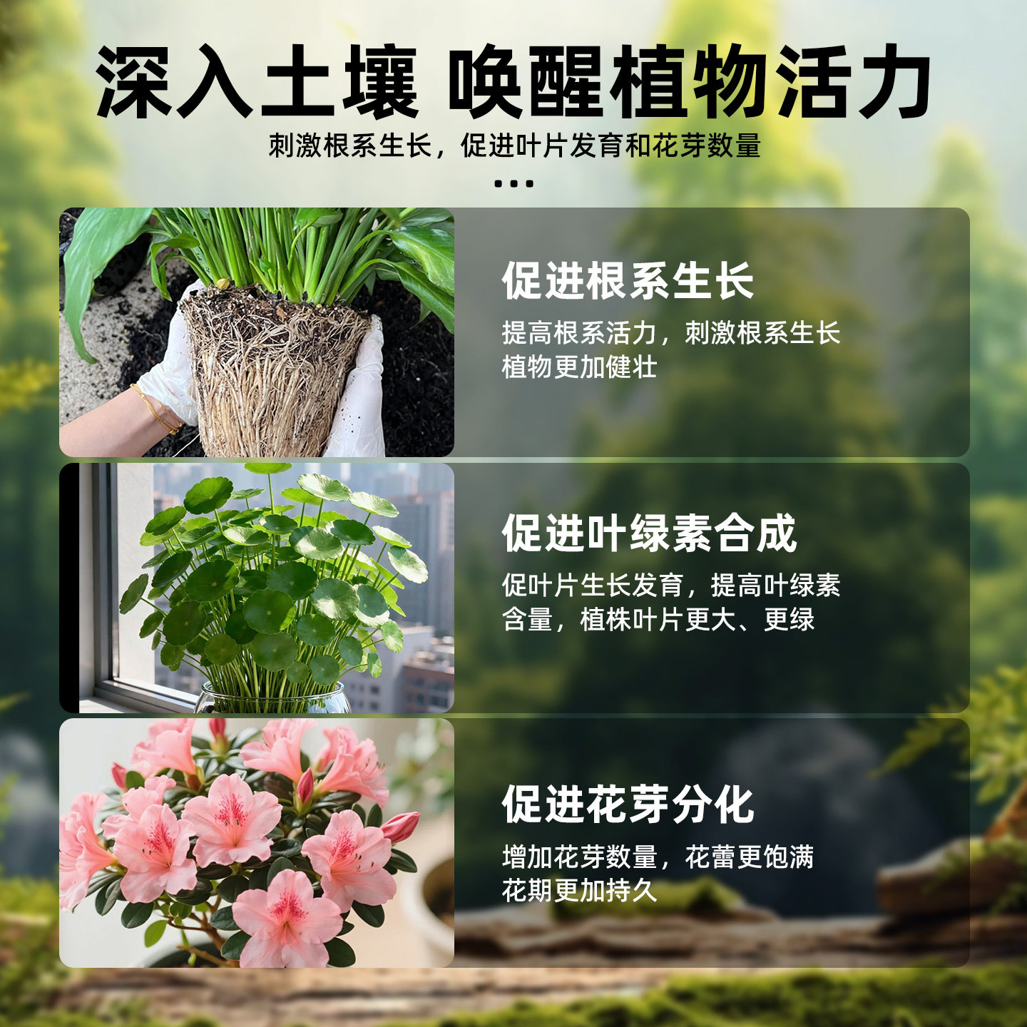 花肥通用养花肥料复合肥蔬菜农用种菜肥料蔬菜用有机肥专用缓释肥,淘宝优惠券,粉丝福利购,淘宝优惠卷