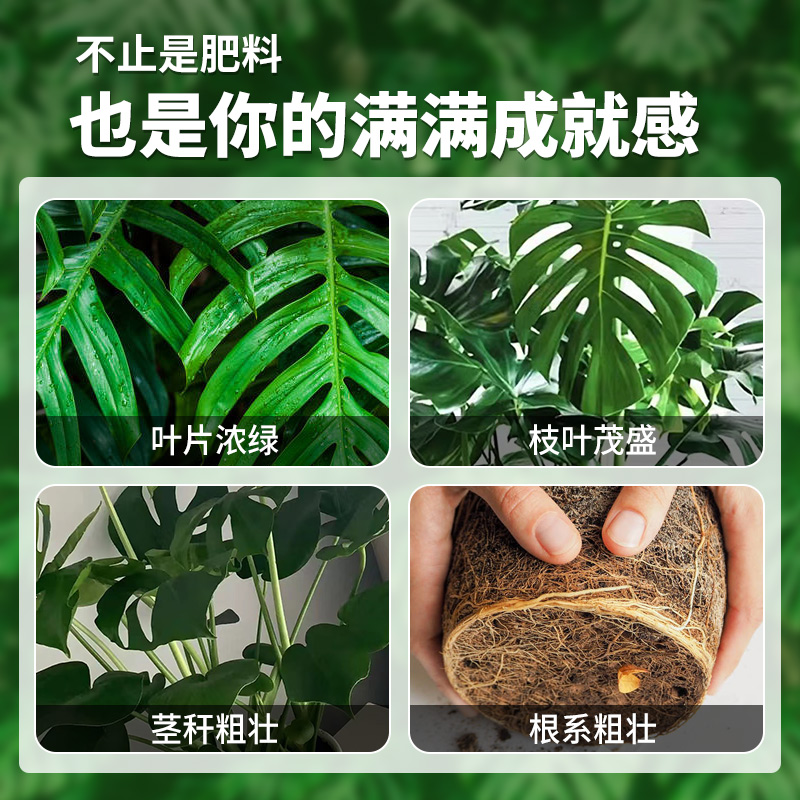 龟背竹专用肥肥料竹科植物营养液室内天堂鸟盆栽通用型浓缩液体肥-图0