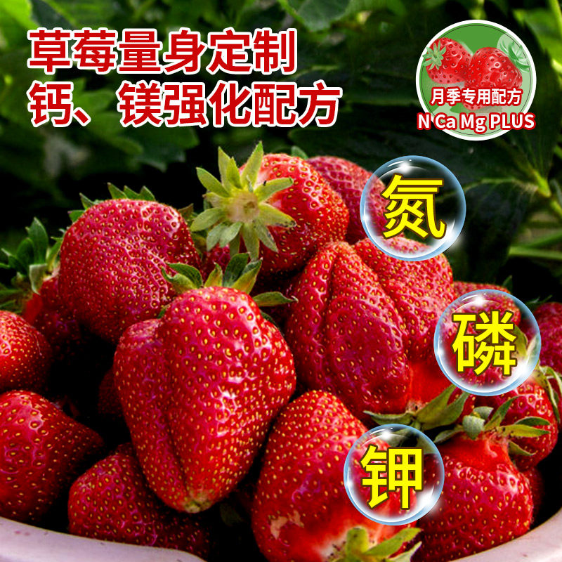 草莓专用营养液草莓肥料专用肥免稀释营养液家用盆栽有机液体肥料,淘宝优惠券,粉丝福利购,淘宝优惠卷