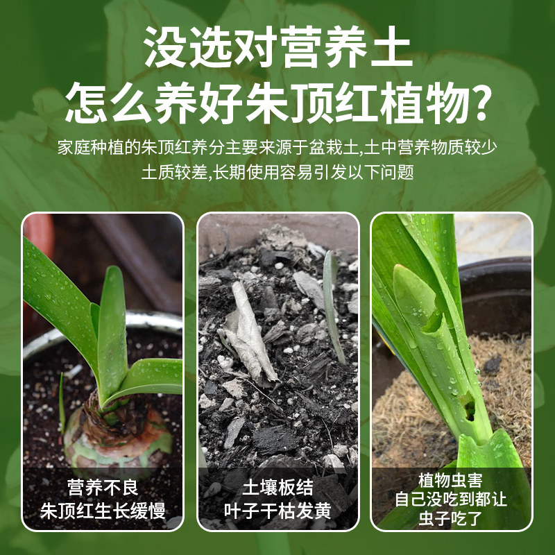朱顶红专用土球根种球营养土专用肥料花卉养花种植土壤家用有机土
