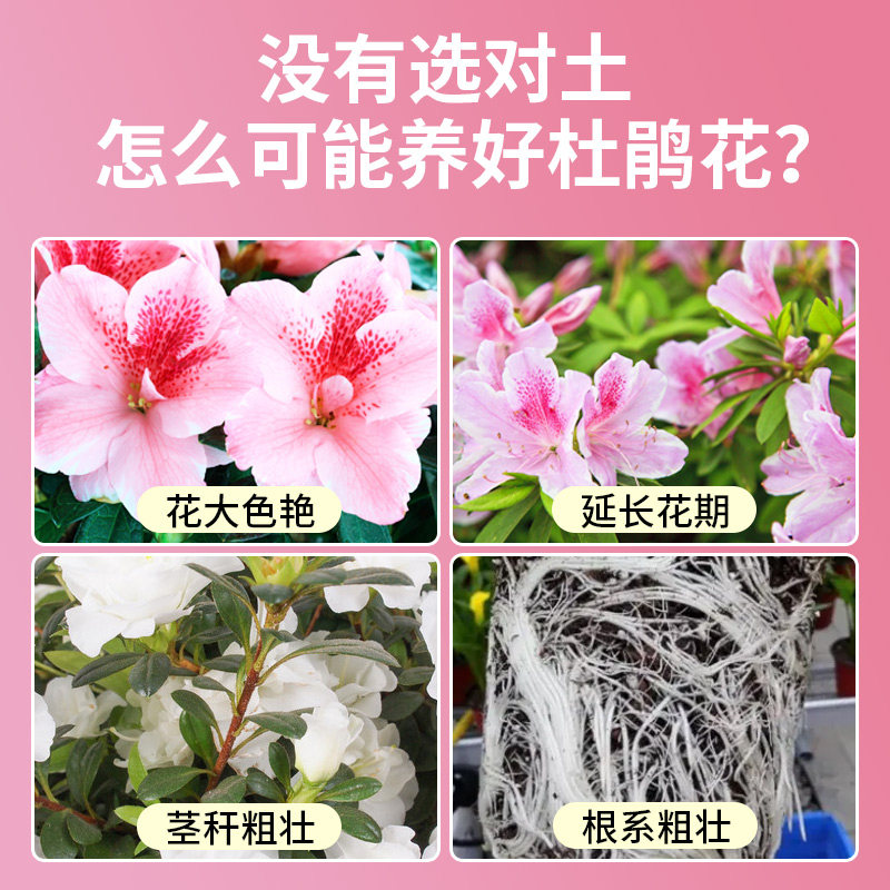 杜鹃花专用土肥料种杜鹃花专用营养土养花专用通用型泥土壤种植土