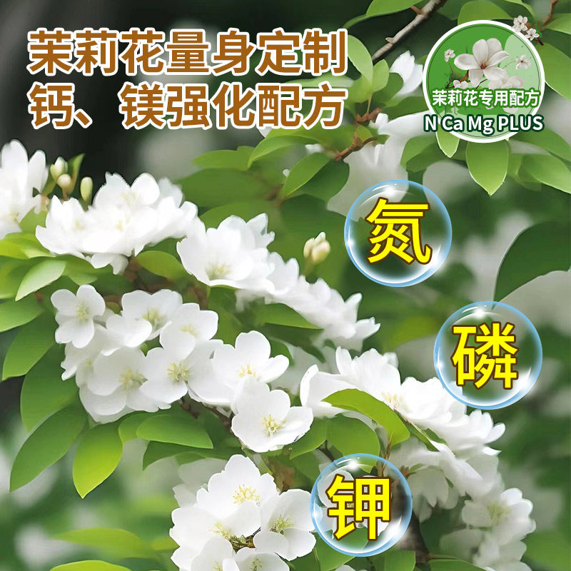免稀释茉莉花专用营养液家用促开花卉盆栽喜酸植物液体肥花肥料,淘宝优惠券,粉丝福利购,淘宝优惠卷