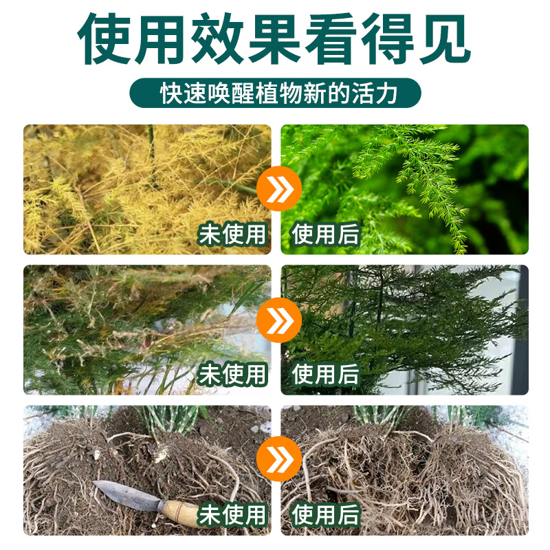 免稀释文竹专用营养液肥料家用盆栽植物液体肥室内养花绿植通用型 - 图3