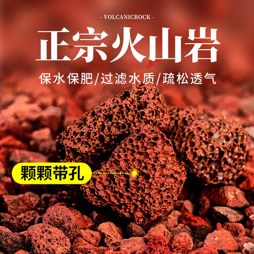 红火山石颗粒火山岩铺底铺面兰花专用土多肉营养土水族鱼缸垫底砂 - 图3