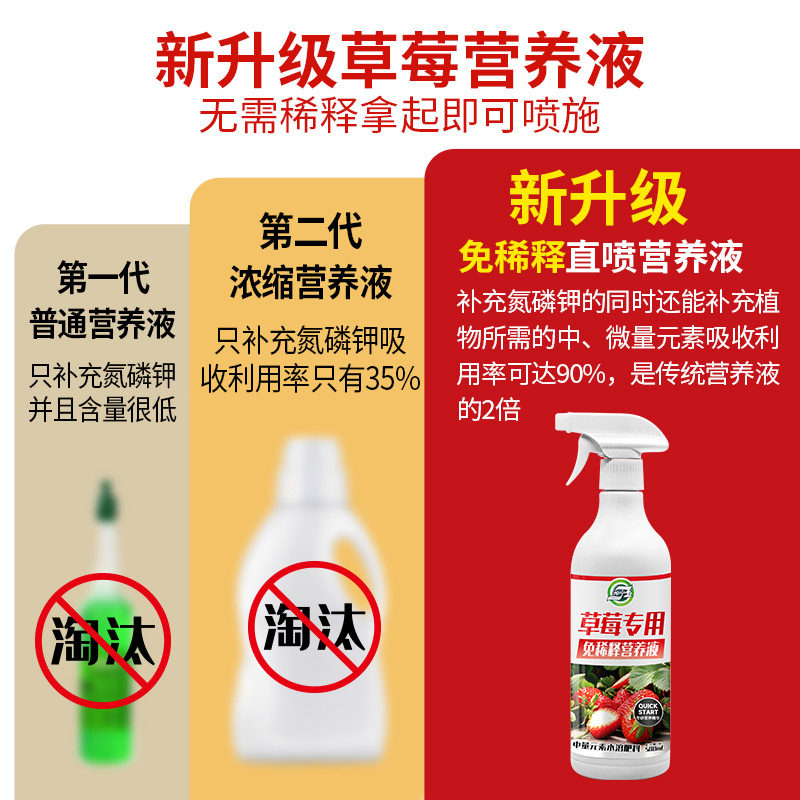草莓专用营养液草莓肥料专用肥免稀释营养液家用盆栽有机液体肥料,淘宝优惠券,粉丝福利购,淘宝优惠卷