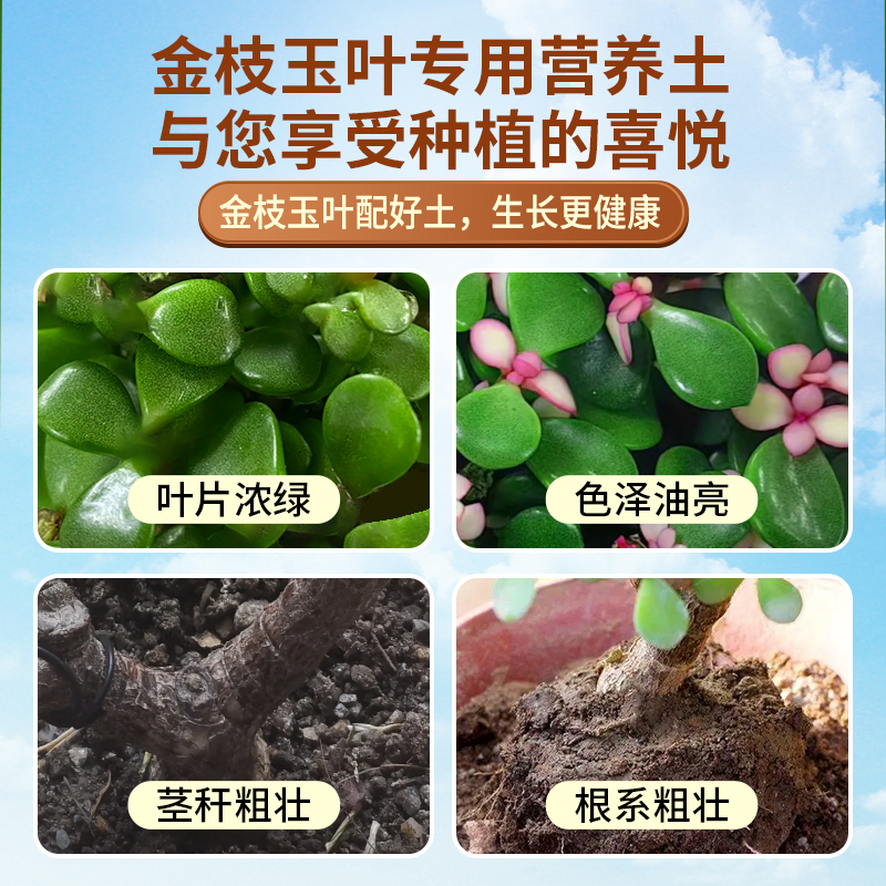 金枝玉叶专用土专用有机肥料营养土通用型盆栽种花养花有机营养土