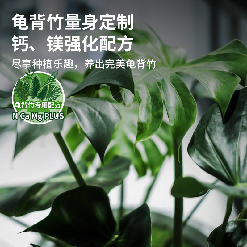 龟背竹专用肥肥料竹科植物营养液室内天堂鸟盆栽通用型浓缩液体肥-图1