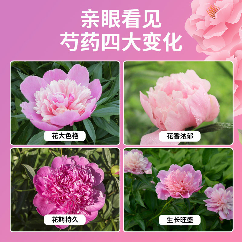 芍药花专用营养土养花通用型花土家用阳台盆栽种植土壤牡丹有机土