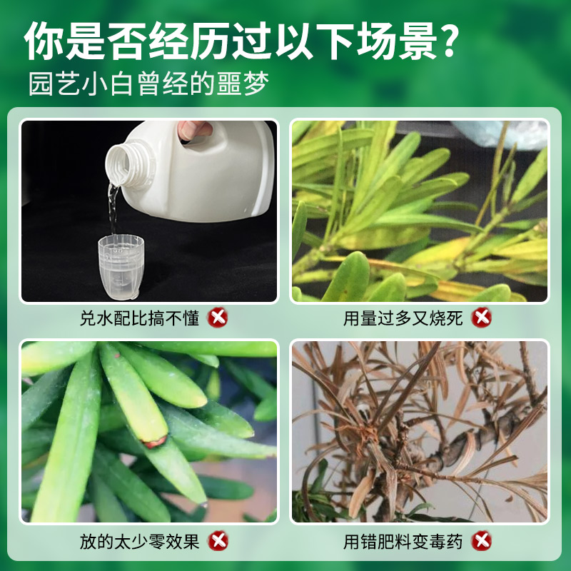 罗汉松专用营养液有机肥料免稀释室内盆栽植物通用型家用盆栽肥料 - 图0