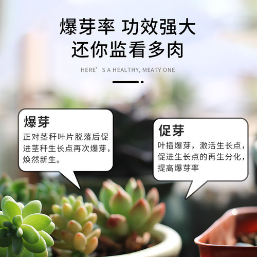 优芽素多肉专用促多头侧芽细胞分裂素促芽促生长催芽矮胖素爆芽素 - 图0